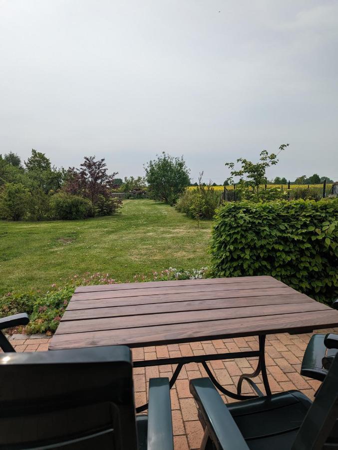 Ferienwohnung Wittenfoerden Wittenforden Екстериор снимка